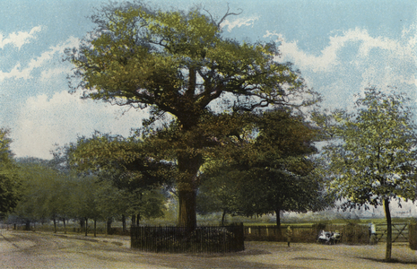 The Midland Oak, Leamington (photo)