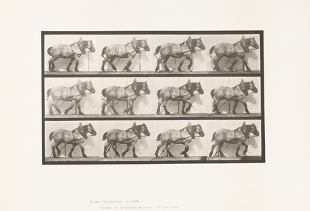 Plate 563. Hauling;Broken Log Chain; Dark-Gray Belgian Horse Dusel, 1885 (collotype on paper)