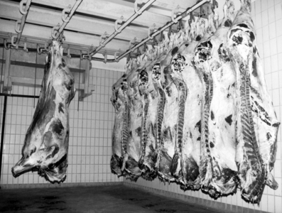 Beef halves in a slaughterhouse, 1996 (photo)