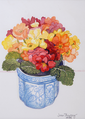 The Multicoloured Primrose, 2011 (watercolour on paper)