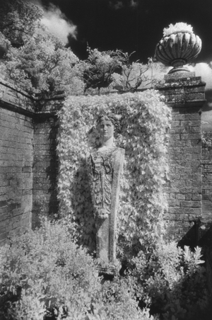 Statue, Blickling Hall, Norfolk (b/w photo)