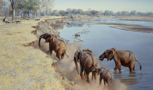 African Elephants Crossing a River (oil on canvas)