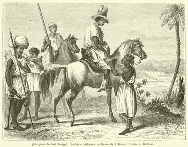 Indigenes du haut Senegal, Peuhls et Malinkes (engraving)