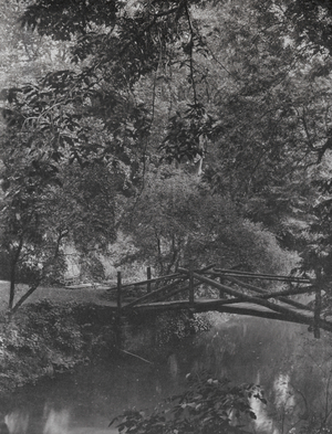 Rustic Bridge at Cragside, Northumberland (b/w photo)