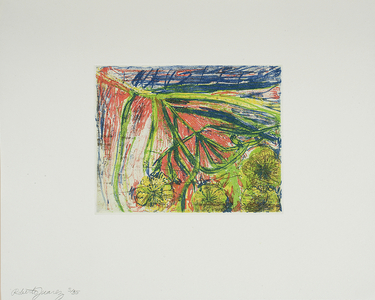 Smashed Flowers, 1995 (colour soft ground etching)