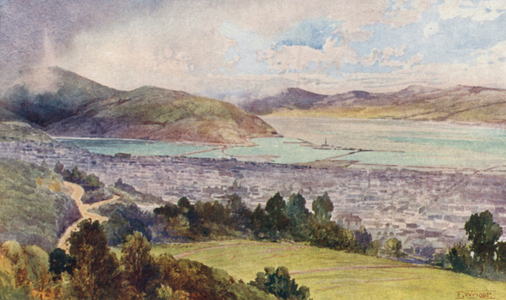 New Zealand: Dunedin (colour litho)