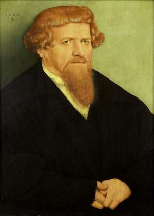 Portrait of a Man, 1548 (oil on panel)