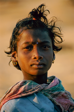 DNA Migration Study (photo)