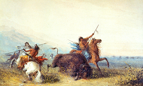 buffalo hunting in Wyoming, South of North Dakota, 19th century (print)