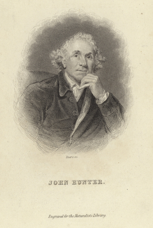 John Hunter (engraving)