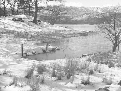 A heavy covering of snow around Rydal Water, 1930s-60s (b/w photo)