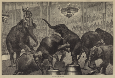 Eccentric Elephants (engraving)