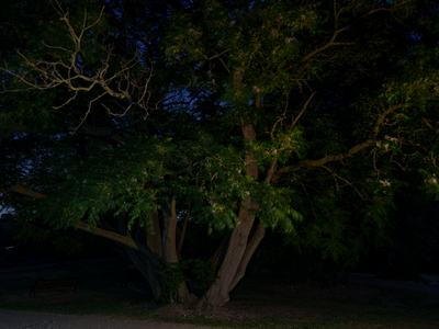 Caffarella Park, Rome, Italy, 2023 (photo)