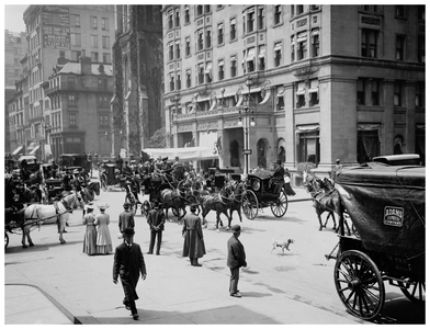 Belmont coach, New York (b/w photo)