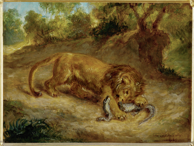 Lion and cayman …