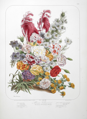 A bouquet of flowers