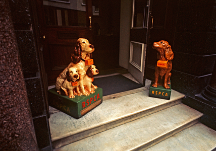 RSPCA dog collection boxes, Piccadilly, London, 1972 (photo)