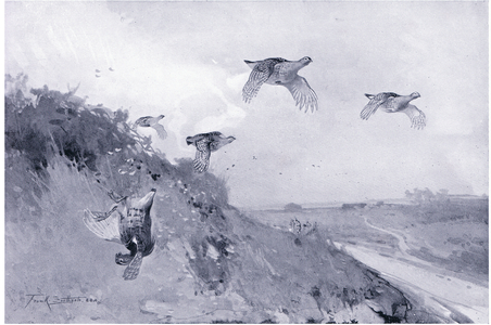 Partridge driving (litho)