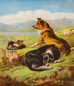 Rover and Hector (colour litho)