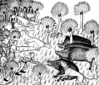 wild boar hunt, from the Book of the Hunt (1387-1388) by Gaston Phebus Count of Foix (1331-1391)