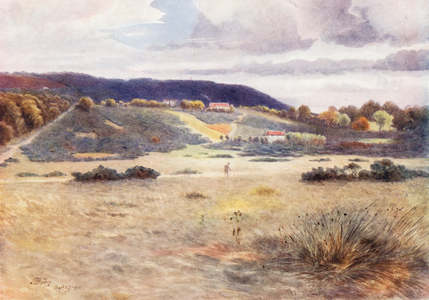 Surrey: Smithwood Common (colour litho)
