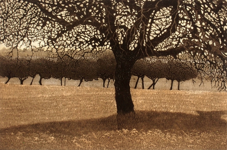 Tree Net II (etching and aquatint)