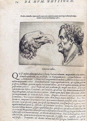 Physiognomy from 'De humana physiognomonia libri IIII'