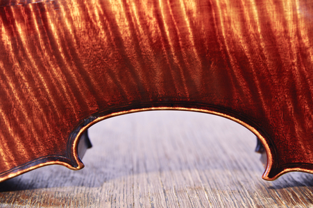 Violin