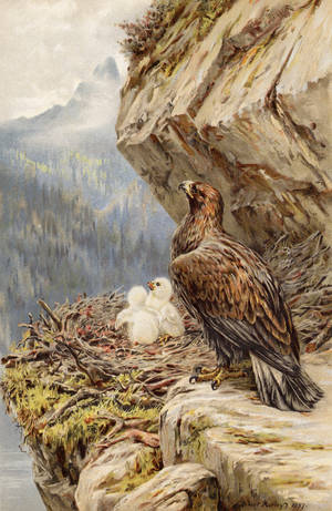 Children of the Mountain (chromolitho)