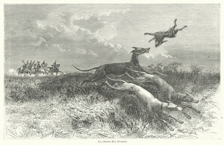 La chasse des levriers (engraving)