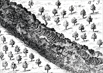 Solidified lava flowing from Mount Vesuvius.