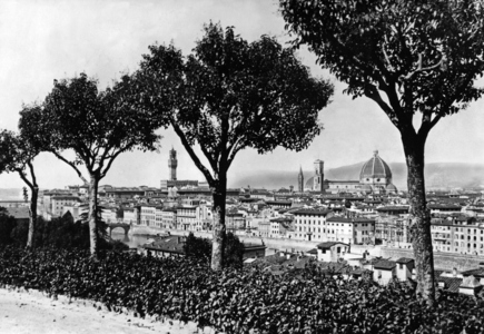 View on the city of Florence (b/w photo)