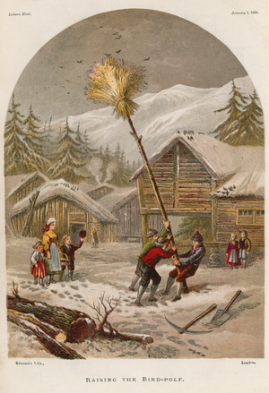 Raising the bird pole (coloured engraving)