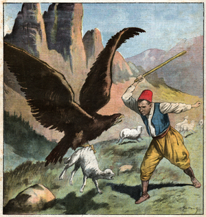 Eagle kidnapping a sheep, 1921 (print)