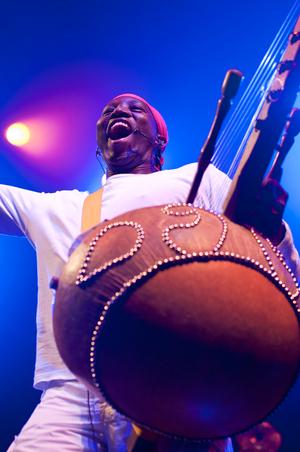 Afro Celt Sound System (photo)