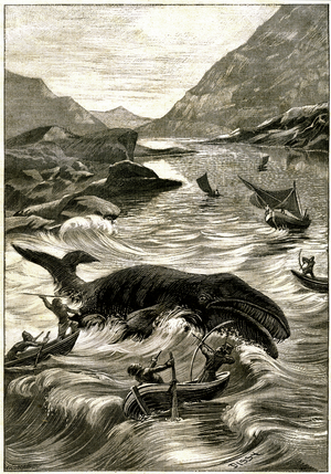 Whale Hunting with Bows and Harpoons, 1891 (engraving)
