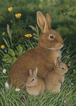 Rabbit and Kits (w/c on paper)