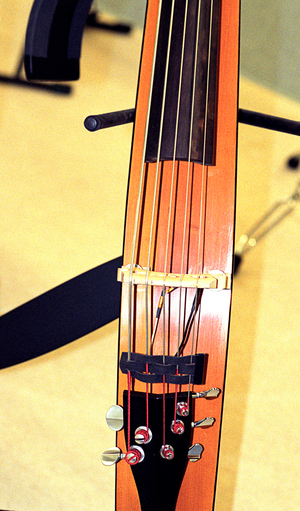 5-string double bass acoustic