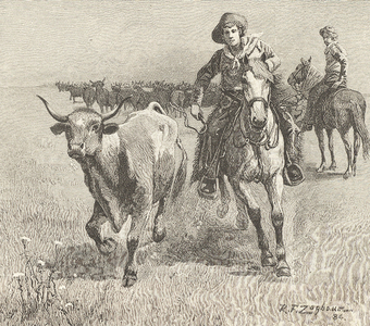 Cowboy going after a steer that has left the herd during a cattle drive: Montana. Engraving, 1885.