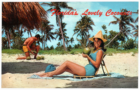 Beach in Florida, 1968 (print)