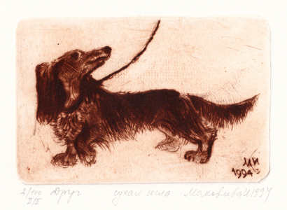 Longhaired Dachshund, 1994 (drypoint)