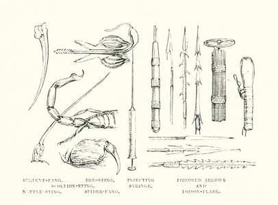 Human invention anticipated: Poisoned weapons (engraving)