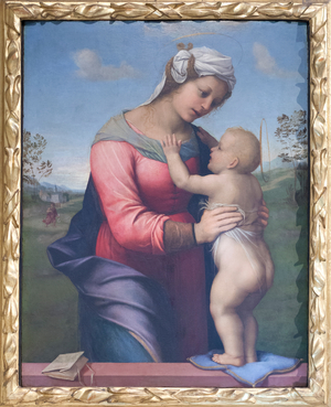 Madonna and Child, 1510-13 (panel)