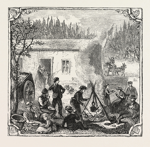 Hops and Hop Pickers, in a Kentish Hop Garden, Kent, England, the Temporary Home, Engraving 1876, UK