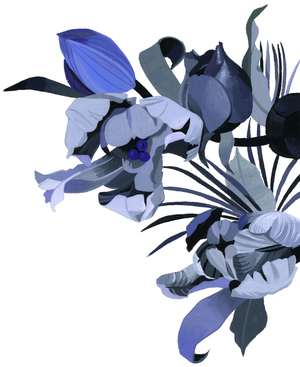 Tulip drawn in gray tone. (gouache, adobe photoshop)