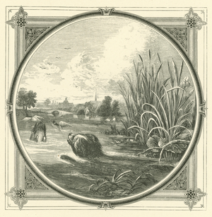 Many a slip 'twixt the cup and the lip (engraving)