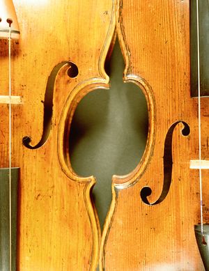 INSTRUMENTS - STRING -