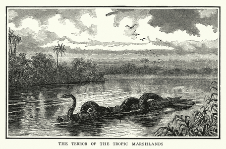 The terror of the Tropic Marshlands (litho)