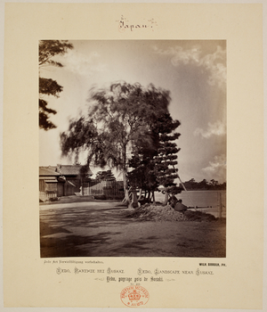 A tree. Landscape near Susaki, Yedo (Edo.)