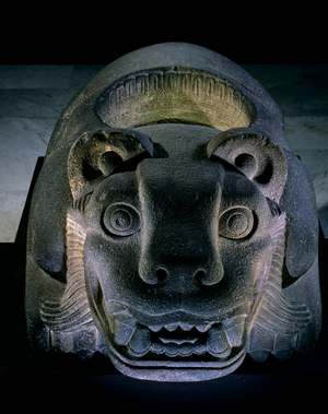 Jaguar shaped receptacle for hearts of sacrifice victims, Aztec, Mexico, Templo Mayor, 2010 (photo)